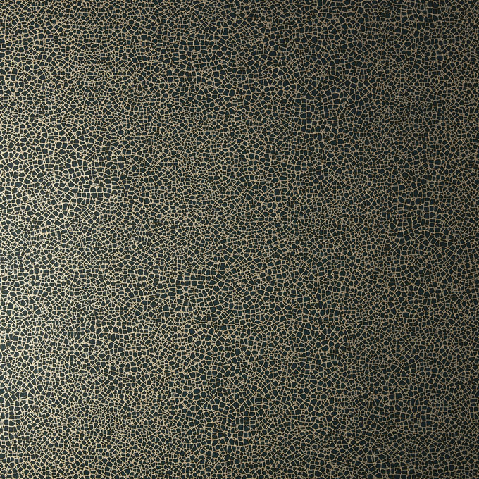 Обои 1838 Wallcoverings Elodie Emile Jet 1907-141-06